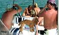 sexypartyclubboat903250.jpg